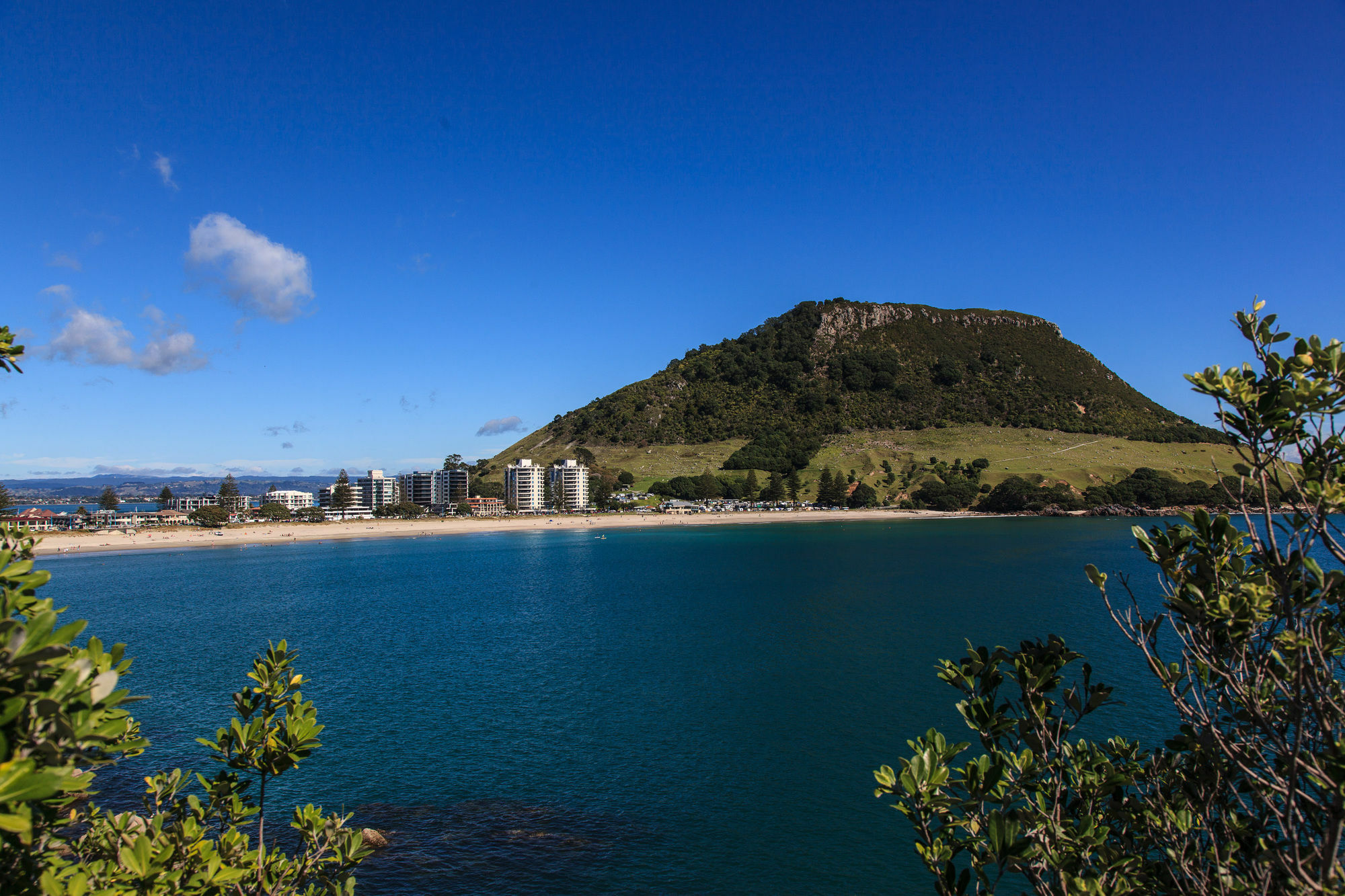Seascape Villa B&B Tauranga Eksteriør billede